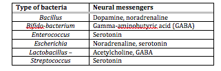 Table - Bacteria that Make Brain Chemicals