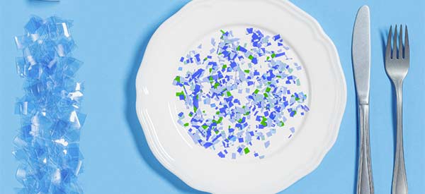 Microplastics on plate